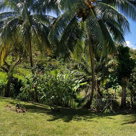 Paradis Turquoise Locations Les Trois-Ilets Exterior foto